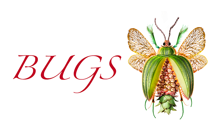 Bugs