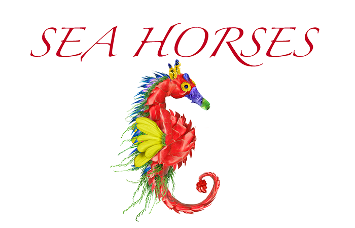 Hippocamp