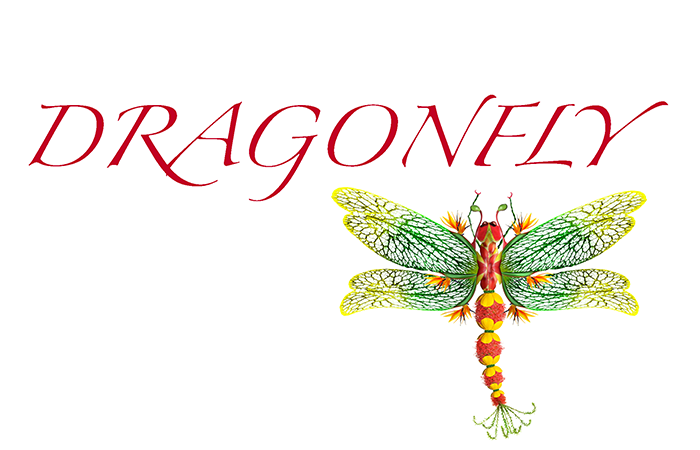 Dragonflies